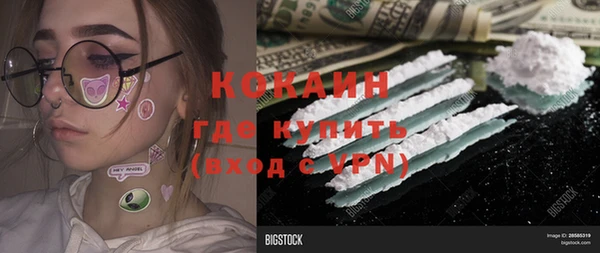 соль ск Надым