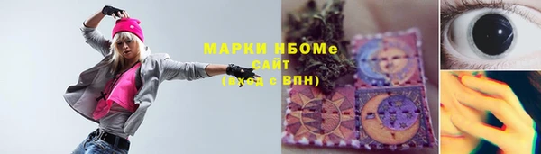 соль ск Надым