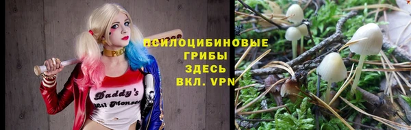 соль ск Надым