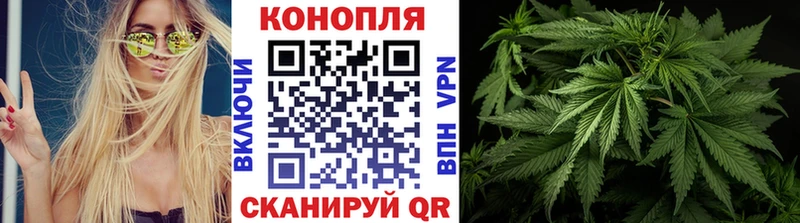 Каннабис OG Kush  Купить  Щучье 